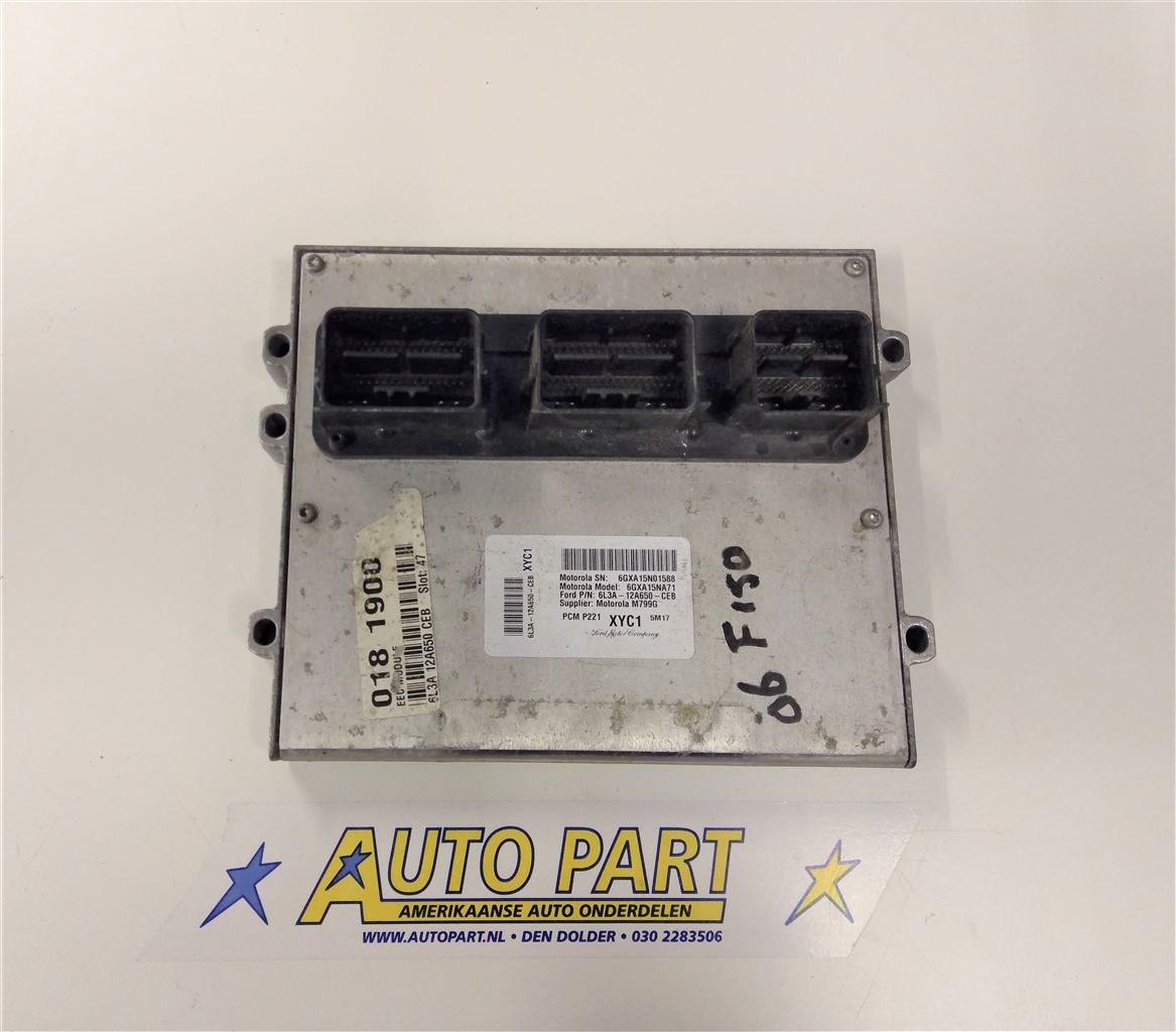 Ford F150 5.4ltr 4x2 2006 motorcomputer