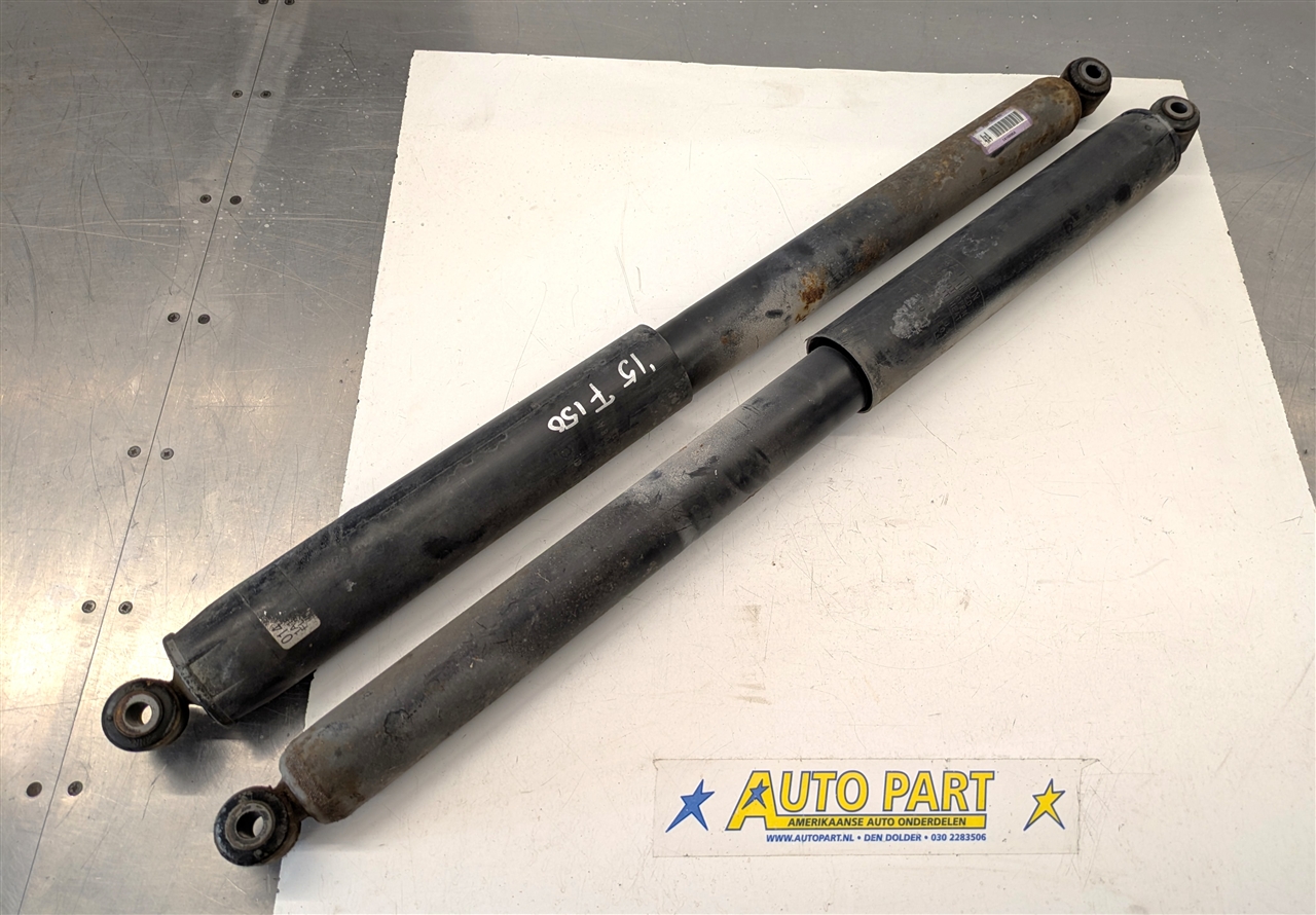 Ford F150 4x4 set achterschokbrekers 2015-2020