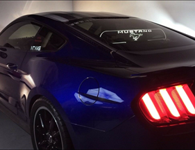 Ford Mustang "Windrestrictor"Glow Plate 2011-2014